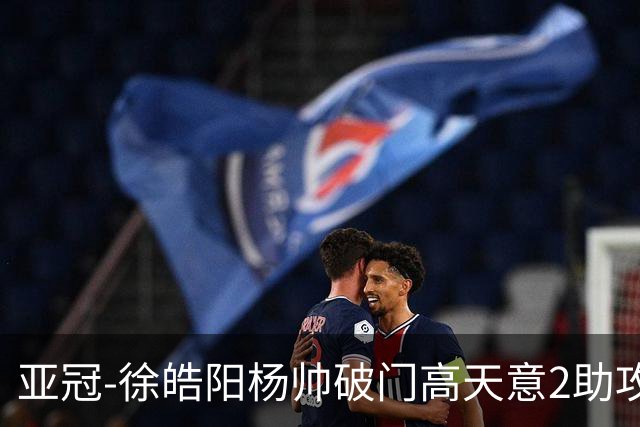 亚冠-徐皓阳杨帅破门高天意2助攻 申花2-1淡滨尼流浪者